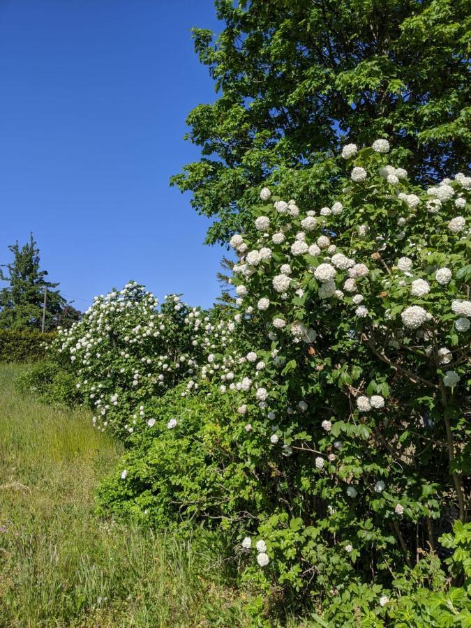 Neuenkirchen Moritzhagenアパートメント エクステリア 写真
